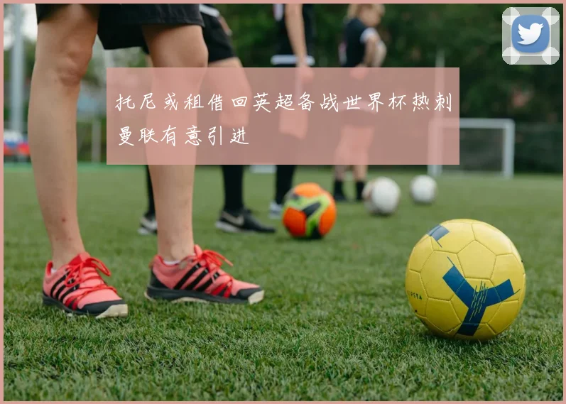 托尼或租借回英超备战世界杯热刺曼联有意引进